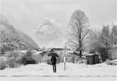 Winter Bus Stop
